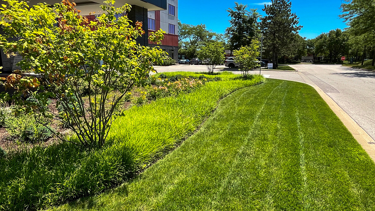 Commercial Lawn Maintenance