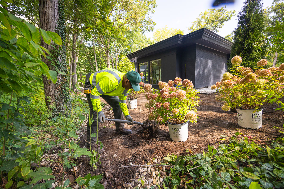 Residential landscape crew planting shrubs 