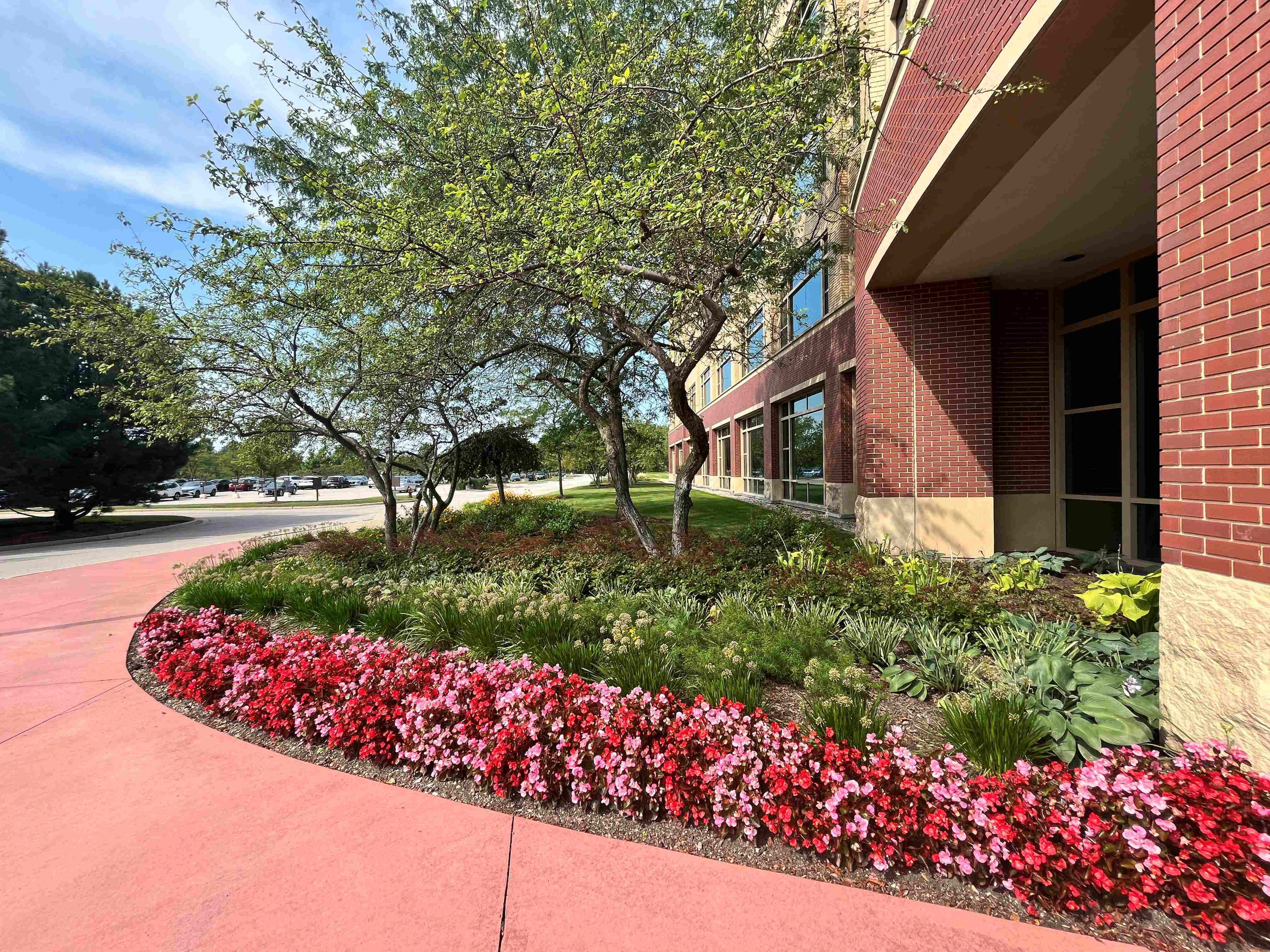 commercial flowers curb appeal