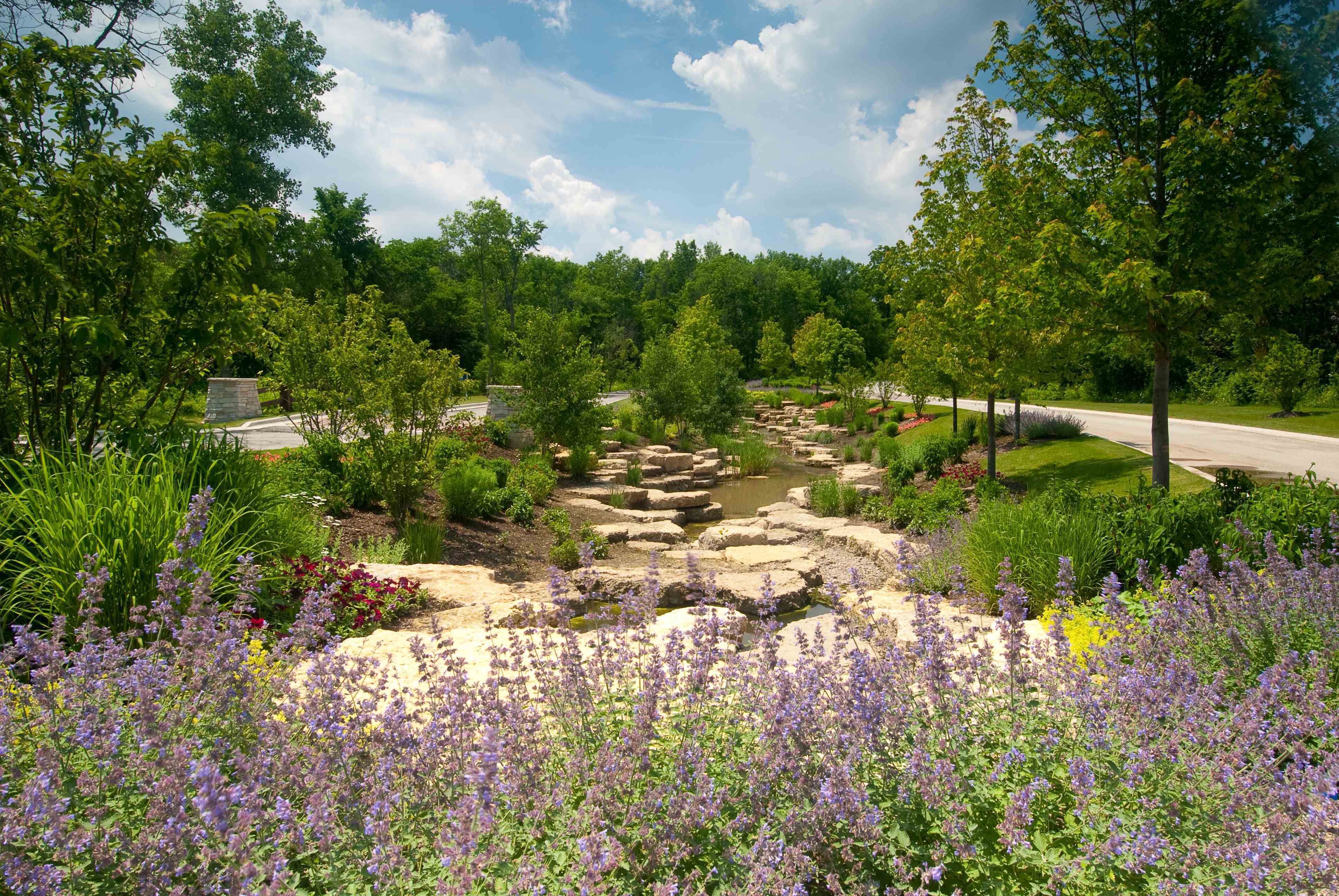 commercial pond area